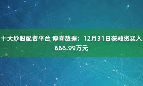 十大炒股配资平台 博睿数据：12月31日获融资买入666.99万元