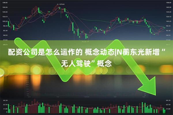 配资公司是怎么运作的 概念动态|N蘅东光新增“无人驾驶”概念